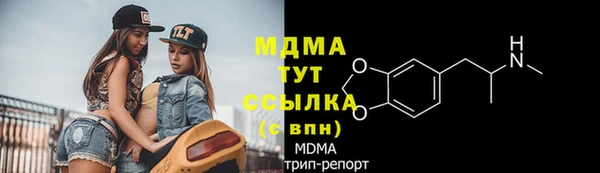 молекула духа Богданович